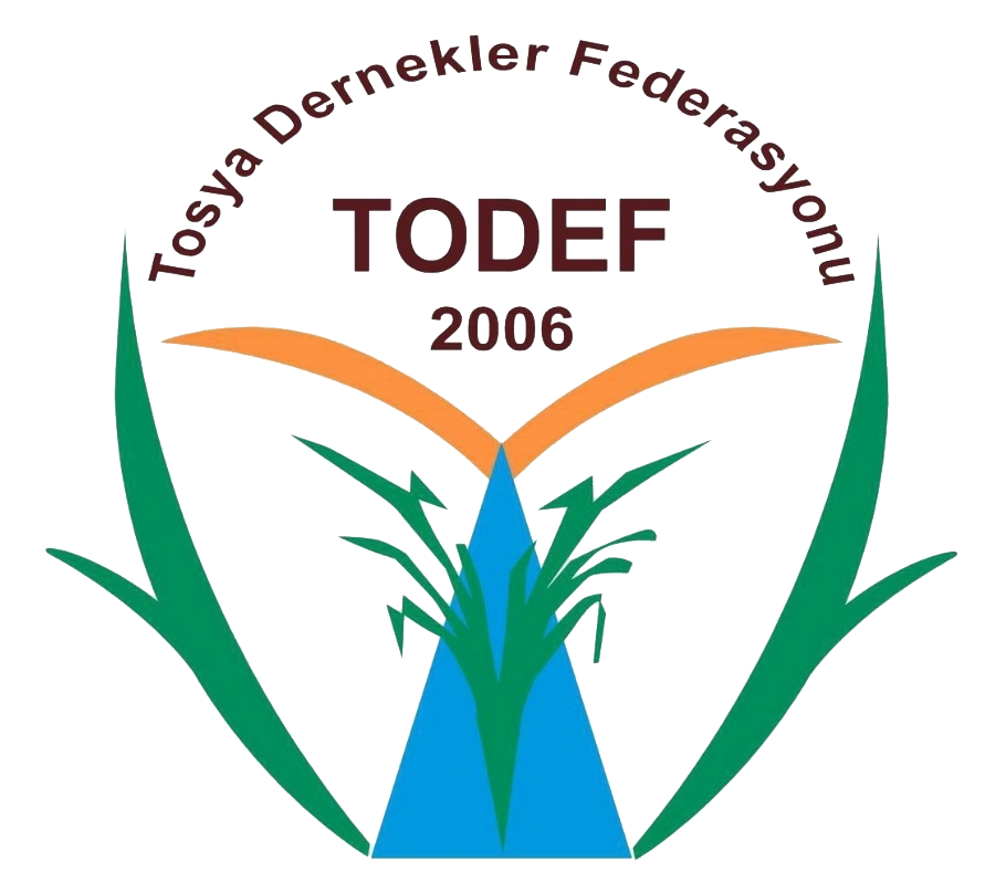 https://yonetim.todef.org/AdminLTE/dist/img/todef-logo.jpg